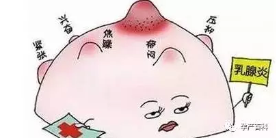 哺乳期乳腺炎，慎用抗生素！